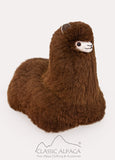 Baby Cushing Alpaca