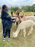 National Alpaca Farm Days Tour