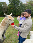 National Alpaca Farm Days Tour